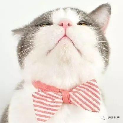 日语朗读伊藤润二惊选集