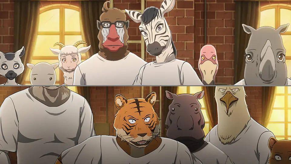 回望2019，有哪些新番动画称得上年度最佳？