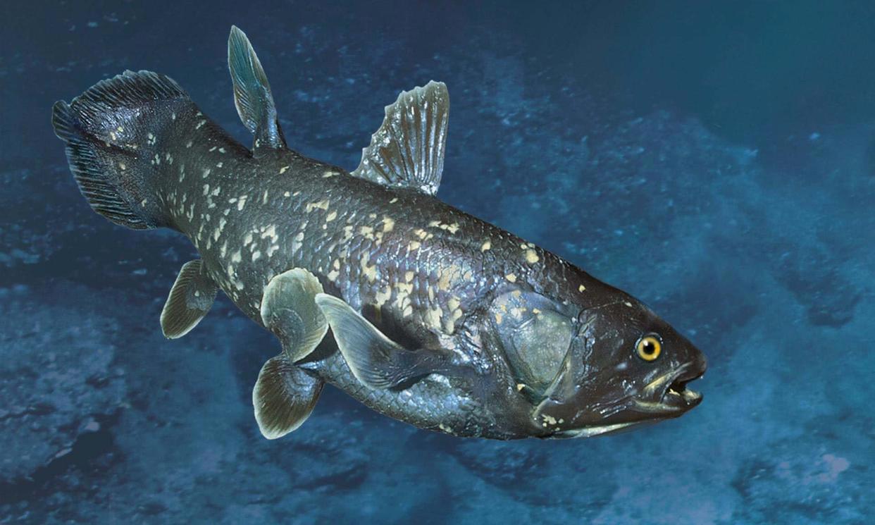 《千与千寻》里，千寻爸爸吃了变成猪的食物是啥？原画师PO图解谜