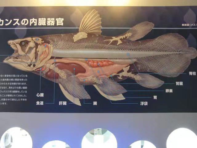 《千与千寻》里，千寻爸爸吃了变成猪的食物是啥？原画师PO图解谜