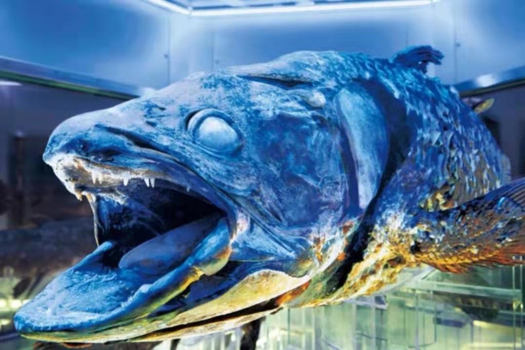 《千与千寻》里，千寻爸爸吃了变成猪的食物是啥？原画师PO图解谜