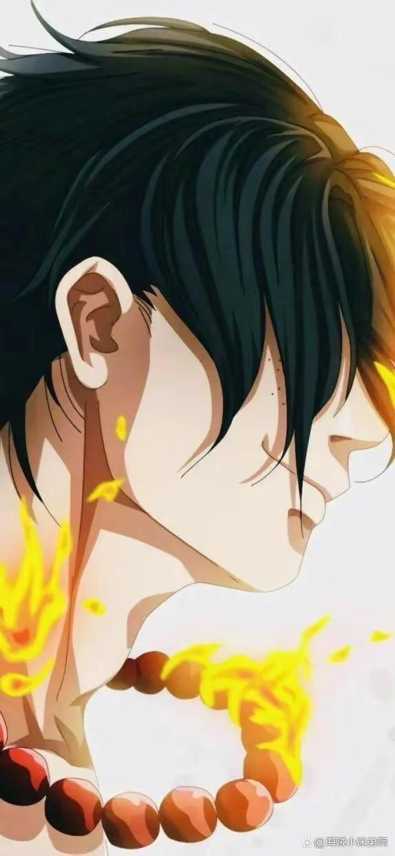 海贼王人物介绍艾斯篇