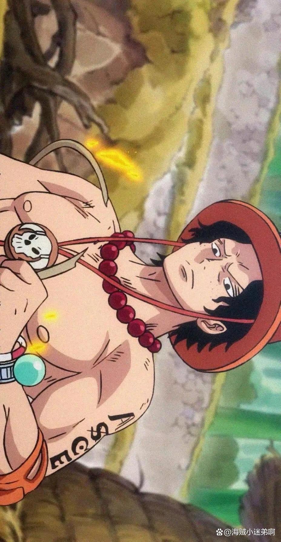 海贼王人物介绍艾斯篇