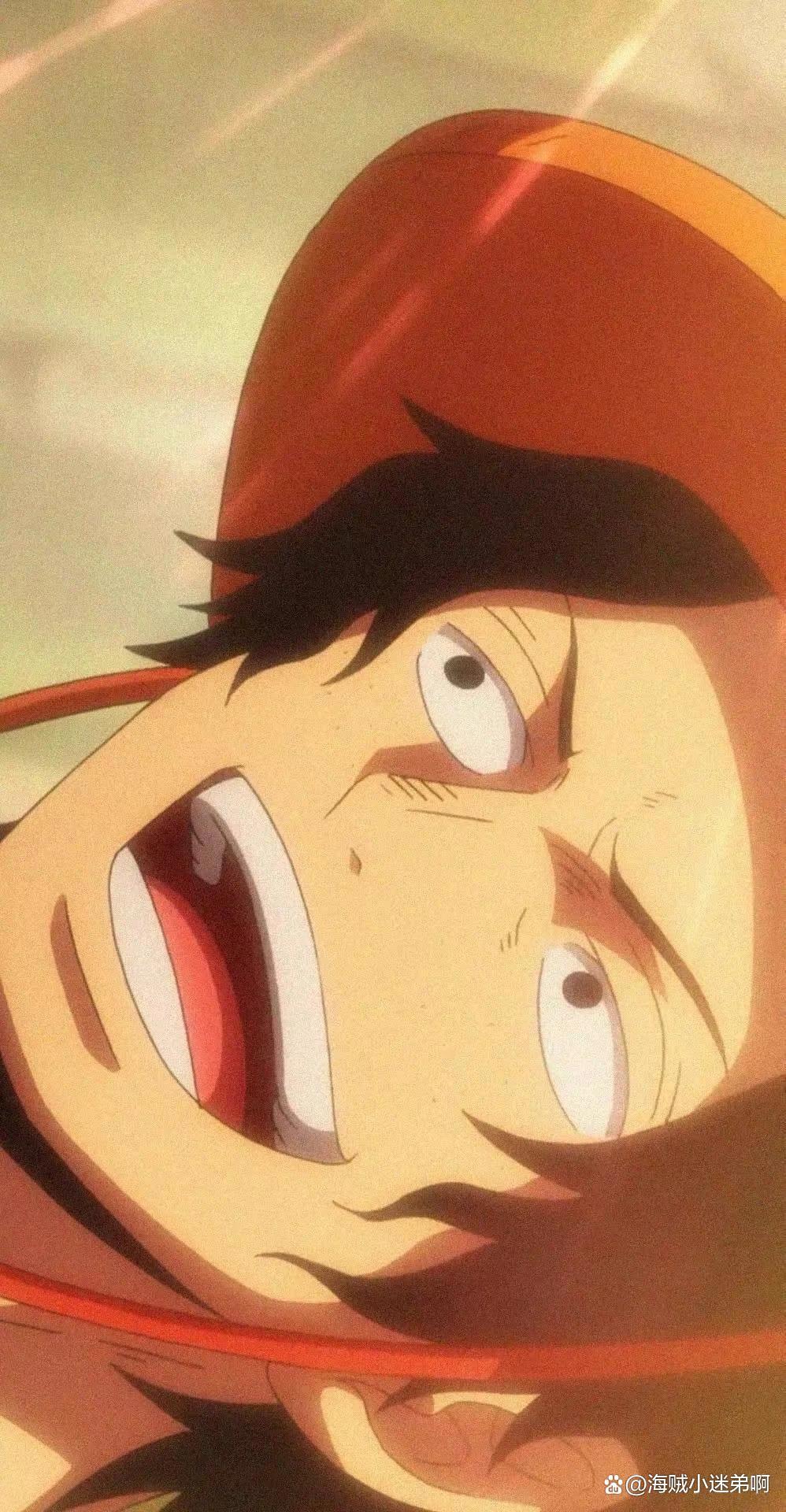 海贼王人物介绍艾斯篇