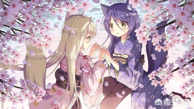 动物拟人化动漫，也和海贼王一样热血！