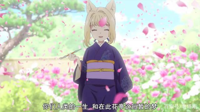 《此花亭奇谭》这部动画全员猫耳娘，有什么好看的？萌就够了！