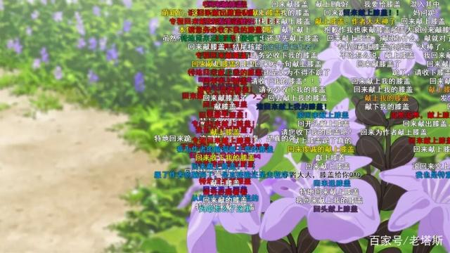 《此花亭奇谭》这部动画全员猫耳娘，有什么好看的？萌就够了！