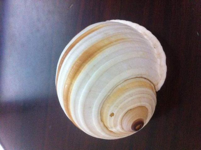 宝石之国最全人物（包括龙套）信息，看完应改名《矿物质之国》？