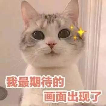 清购物车、拜锦鲤……此刻只想扑进2018爱奇艺FUN盛典的怀里