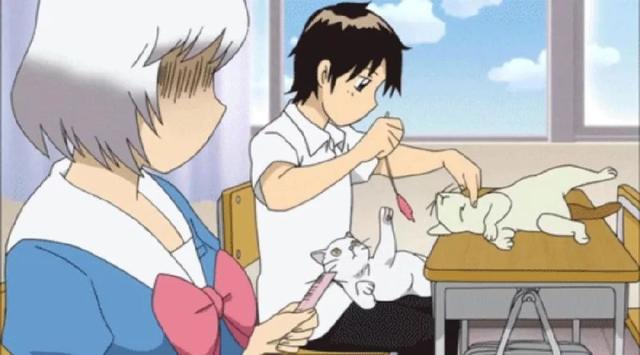 【八卦】玩梗玩出新天地吐槽吐出新花样盘点那些让你忍俊不禁的动漫