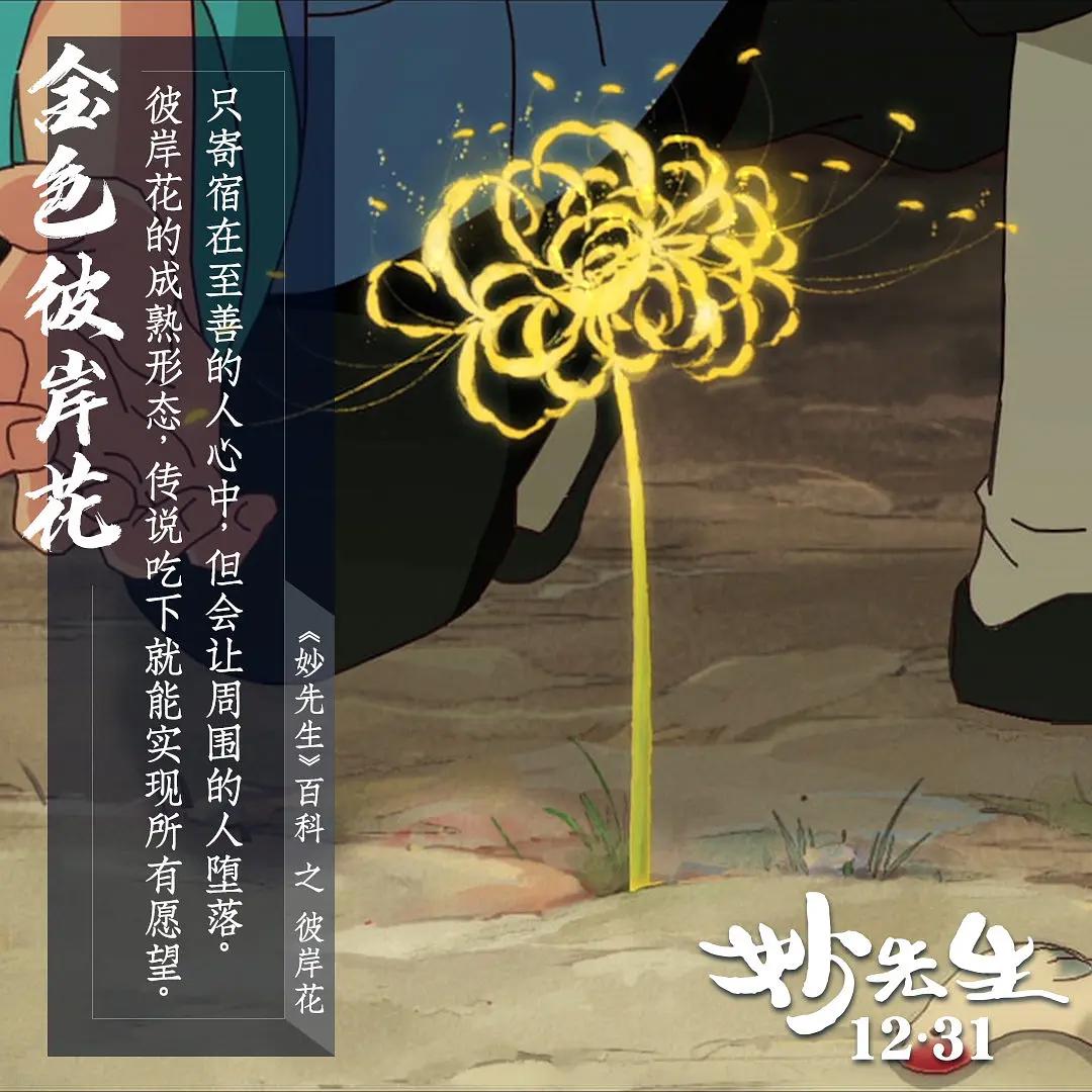 国漫《妙先生》观后感