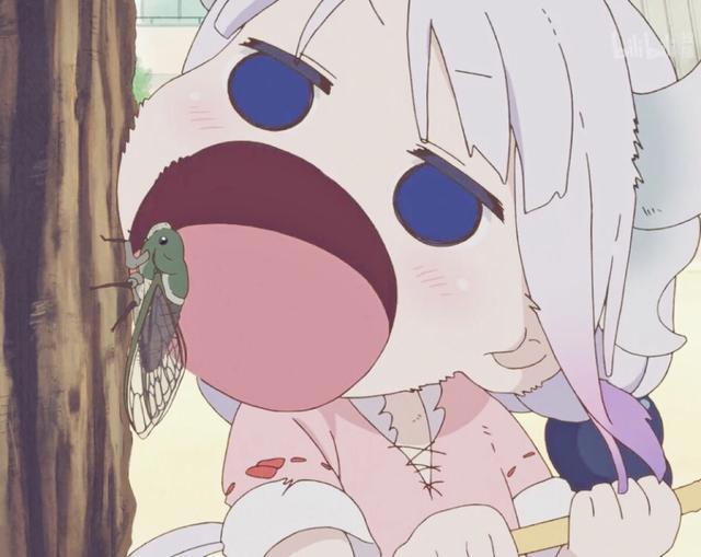 小林家的龙女仆火了康娜托尔，但我觉得作品的核心都在小林身上