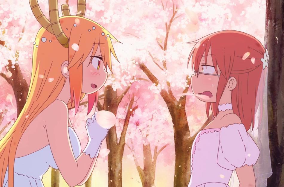 小林家的龙女仆S完结：樱花祭，托尔当众求婚，小林一秒穿上婚纱