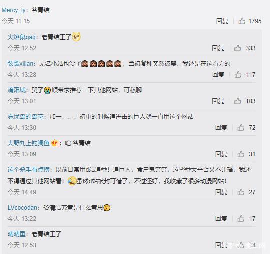 听说过D站吗？创始人因侵权被捕