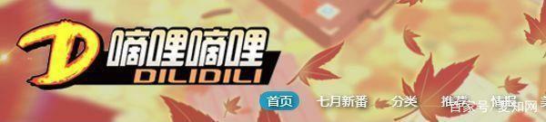 听说过D站吗？创始人因侵权被捕