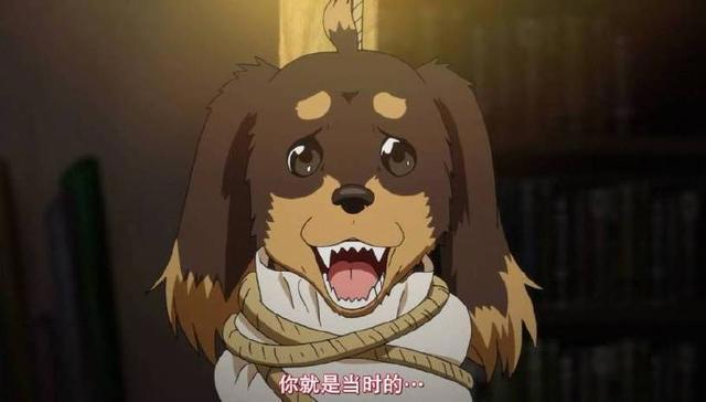 最让人羡慕的几位后宫番男主，就算重生到腊肠狗身上，照样开后宫