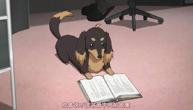 最让人羡慕的几位后宫番男主，就算重生到腊肠狗身上，照样开后宫