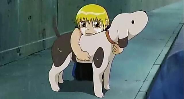 这5本魔法书，每本都代表一部动漫，其中一部是90后的童年回忆