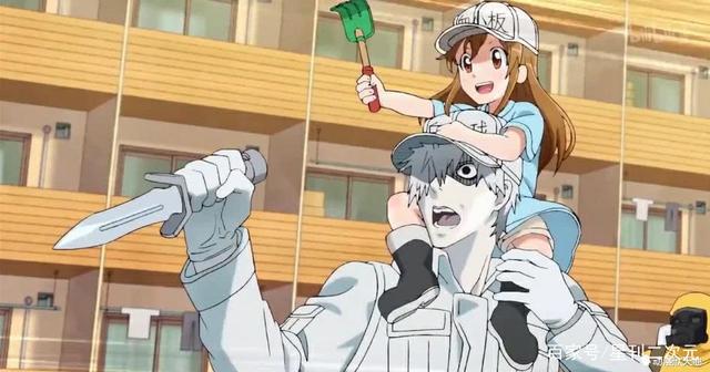 5部萌出鼻血的动漫，血小板勉强排第五，第一无人能敌瞬间萌化