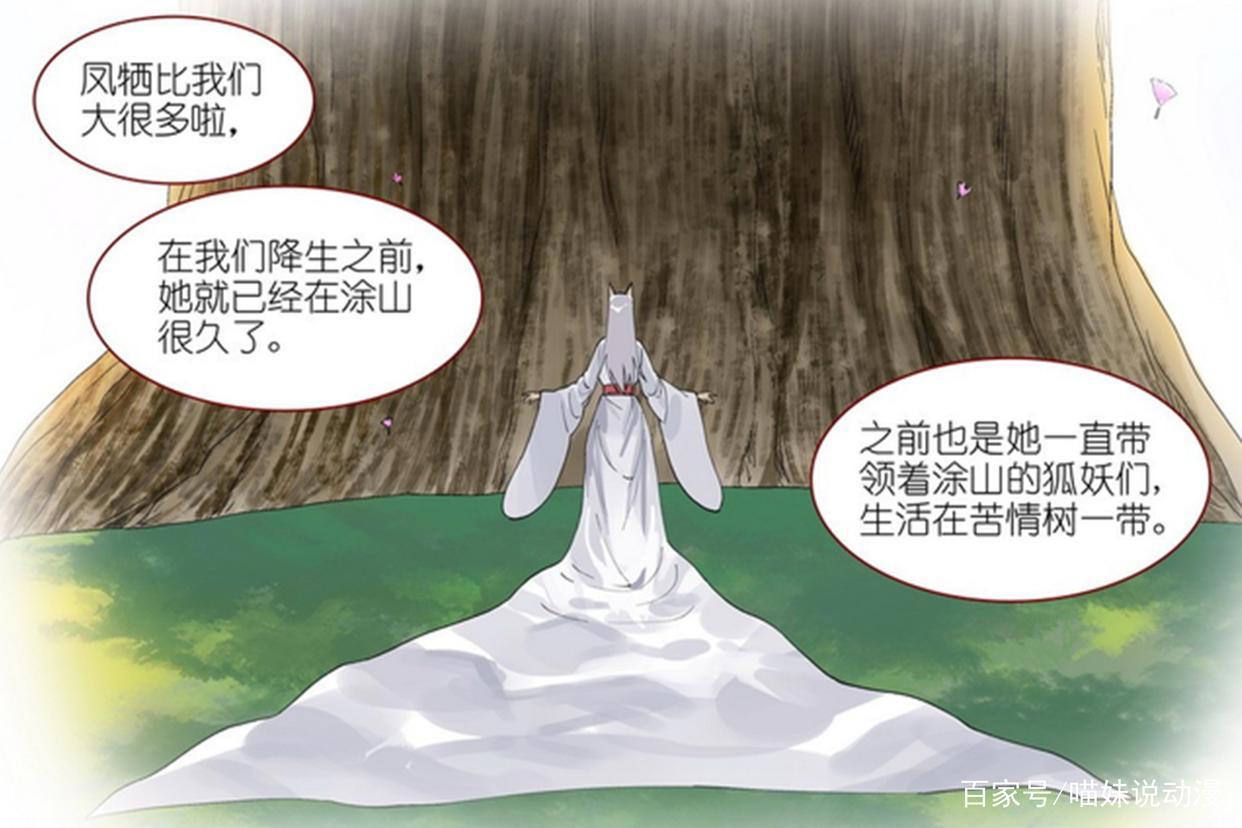 《狐妖小红娘》黑狐娘娘为何无视傲来三少的圈？凤栖才是关键