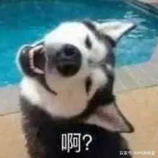 狐妖小红娘：10月31日上线，动画党必追，完美代入红线仙！