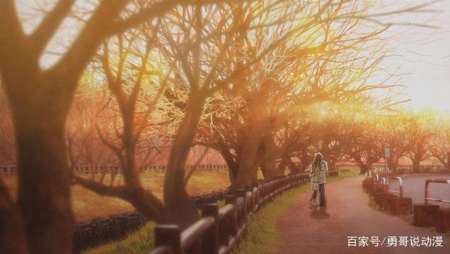 《月色真美》，纯爱大作！这才是真正的青春