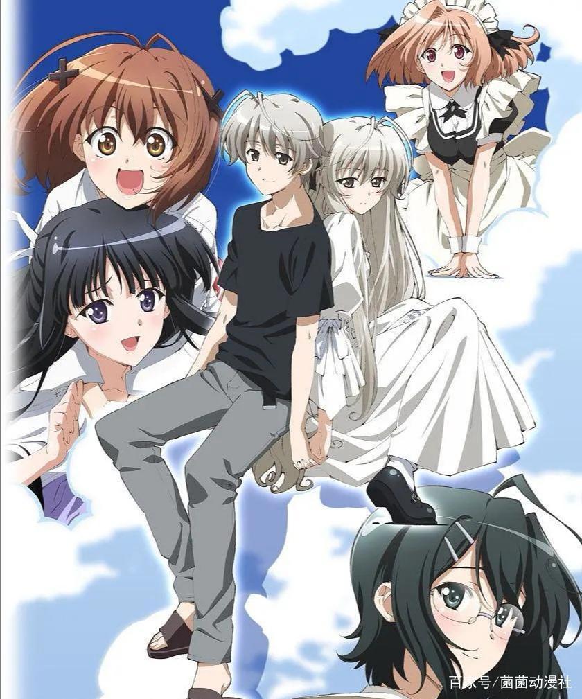 狗粮中的极品《月色真美》