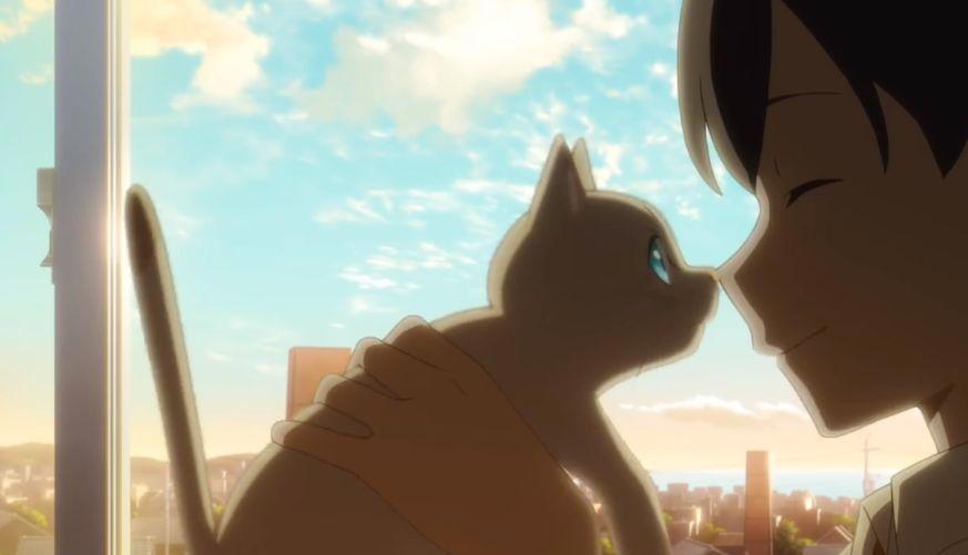 冈妈新作又来了，《想哭的我戴上了猫的面具》，吸猫也能找到老婆