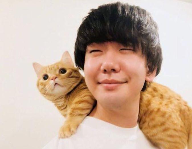 冈妈新作又来了，《想哭的我戴上了猫的面具》，吸猫也能找到老婆