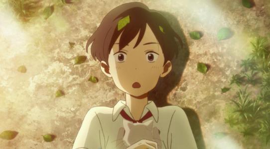 想哭的我带上了猫的面具：当猫真的比当人更舒服吗？