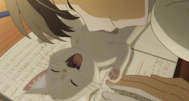 想哭的我带上了猫的面具：当猫真的比当人更舒服吗？