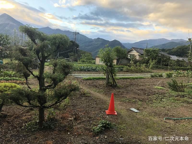 《知晓天空之蓝的人啊》粉丝入侵朝圣，房主一家表示受不了