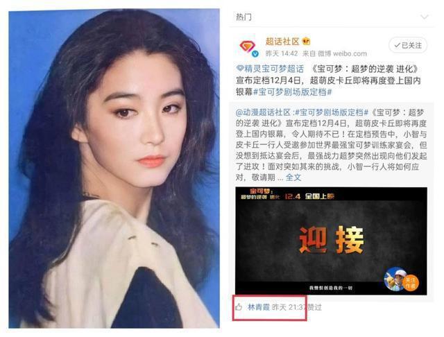 皮卡丘的“超豪华后援会”，果然，没人可以拒绝黄皮电耗子