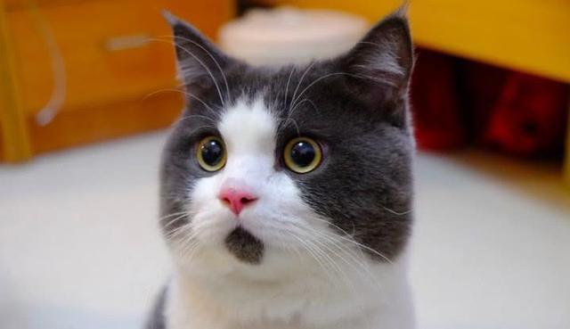 这个7月动画有你才精彩，感谢陪伴完结撒花，健身一定会常伴我