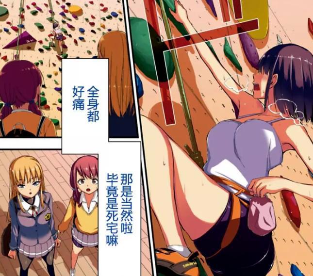 《流汗吧！健身少女》同款配方《攀岩》宣布动画化