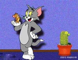 儿时动漫大盘点你看了哪几部