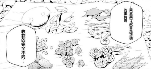 轻小说漫画《盾之勇者成名录》