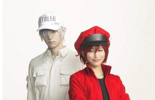 又一件天价宅物？Key社为新作拍卖痛车