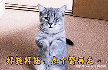 《魔法禁书目录》第三季重磅来袭！你还记得他们吗？