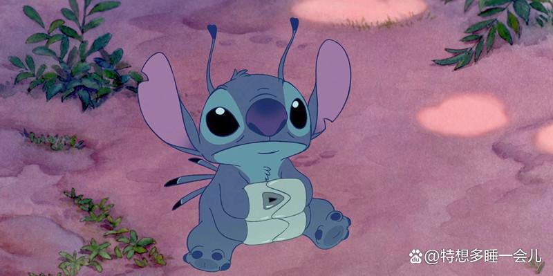 有史迪仔的动漫叫什么？