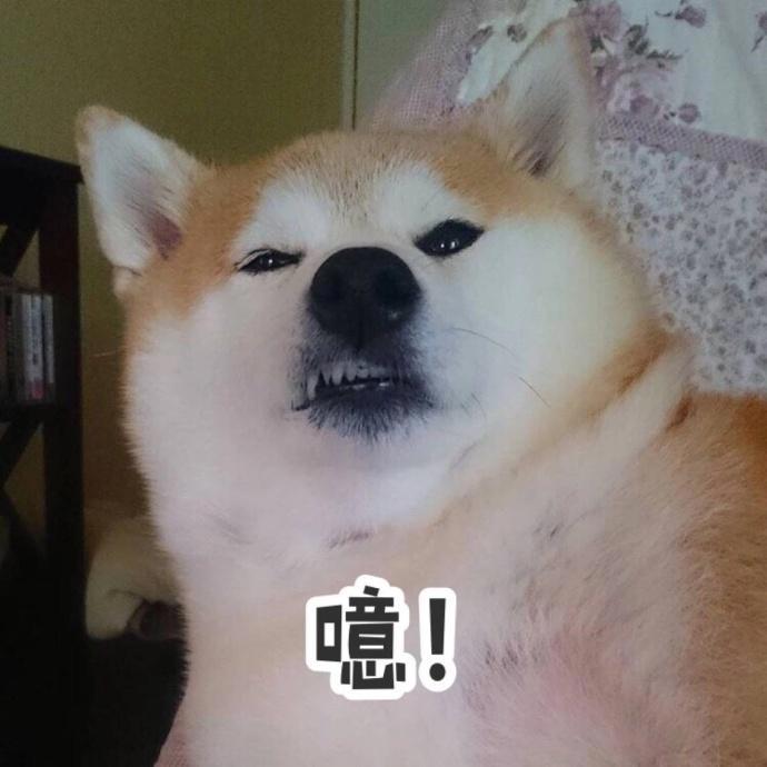 动漫角色的姓氏是什么含义，你真的了解吗？