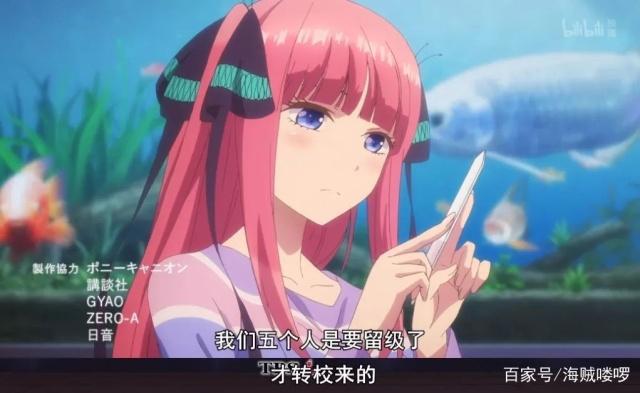 五等分的新娘=五倍的快乐！这部动画很多人坚持不睡觉都要看完