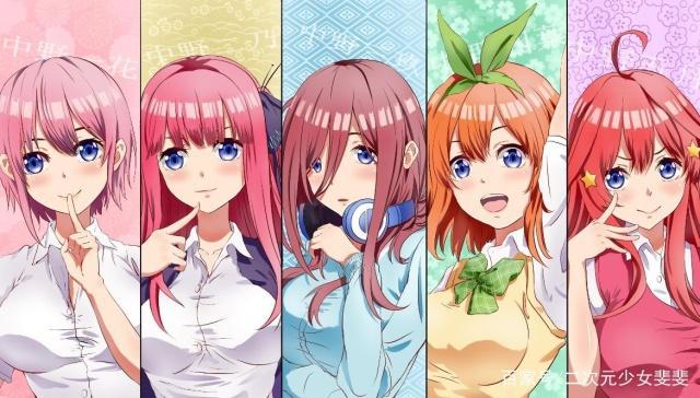 五等分的新娘：相信我，这部动漫，一定能满足你的所有幻想！