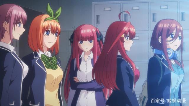 五等分的新娘第7集先行：三玖立功！男主托她福攻略五月成功和好