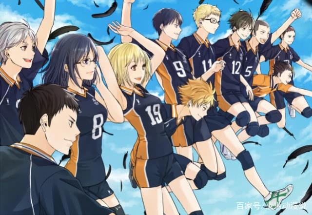 日漫励志番已走歪，1米5矮子也能当主角，欺负观众不懂常识