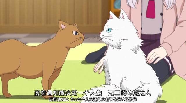 恋爱禁止的世界：莉莉奈的婚约果然有猫腻，美咲才是命中注定