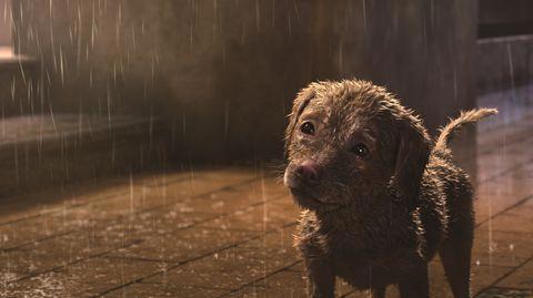 台湾国际动漫展亮点不少还是槽点太多？