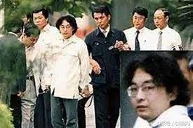 日本宅男の怒：二次元美少女不让看？那就选个漫画家当议员！