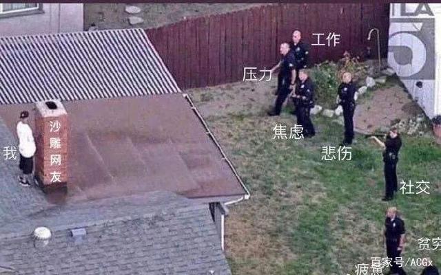 今年双11，我们能买到怎样的“二次元沙雕”？