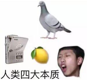 今年双11，我们能买到怎样的“二次元沙雕”？